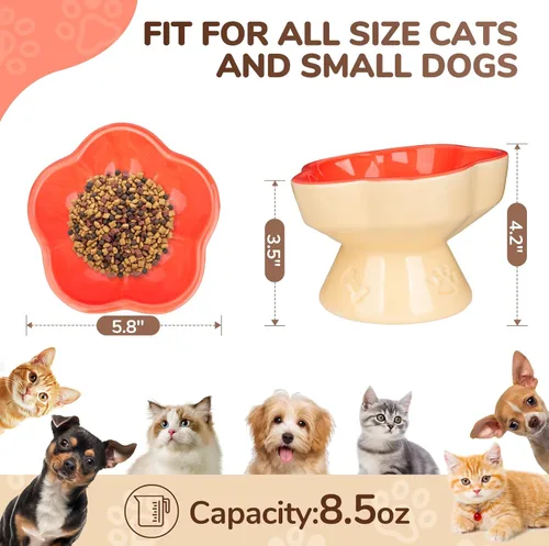 Miniatura 2 de S&Q'S CERAMICS Tazón Elevado para Gatos, Cuenco Elevado para Gatos para Comida y Agua, Plato de Cerámica Inclinado, Anti Vómito y Amigo
