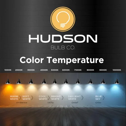 Miniatura 5 de Hudson - Bombillas LED Edison vintage de 4 W (paquete de 4) – Iluminación cálida regulable de 2200 K (equivalente a 40 W) – E26/27 vidrio tinte