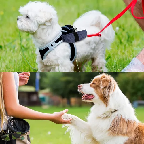Miniatura 6 de Meanplan Paquete de 2 tazones portátiles plegables para perros, plato portátil de viaje para cachorros, cuenco de agua y comida para mascotas