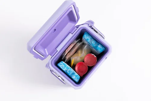 Miniatura 6 de Igloo Maxcold Ice Block