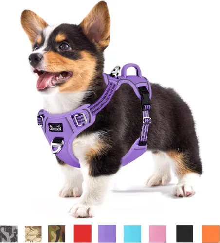 Miniatura 36 de SlowTon Arnés para perro sin tirones, arnés resistente sin estrangulamiento para mascotas, con 2 clips para la correa y mango vertical de fácil