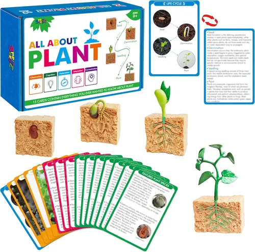 Miniatura 10 de 15 tarjetas de mariposa con 4 figuras de plástico, tarjetas de introducción de mariposas, insectos, huevo a mariposa, kit de juguete para niños