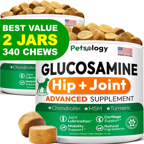 Miniatura 12 de Glucosamina para perros - Suplemento de cadera y articulaciones para perros - 170 masticables de movilidad - Glucosamina condroitina - MSM - Cúrcuma