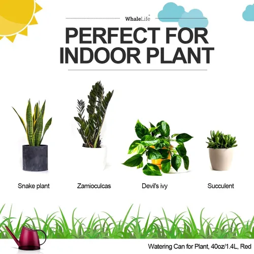 Miniatura 2 de WhaleLife Regadera interior para plantas de bonsái de casa (1.4L, rojo)
