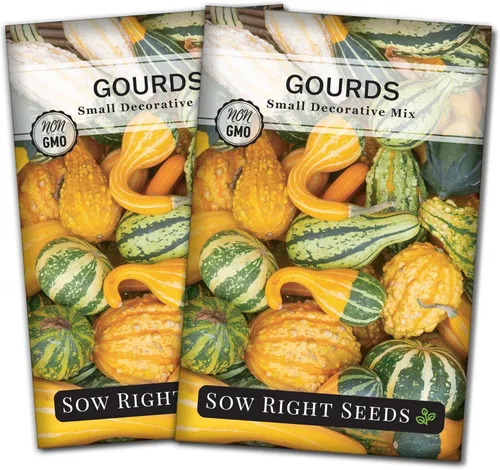 Sow Right Seeds - Mezcla de semillas decorativas de pequeñas calabazas para plantar - Paquete de reliquia sin OMG con instrucciones para plantar y
