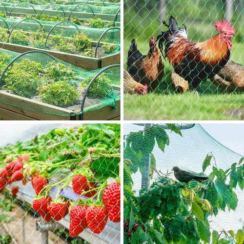 Miniatura 6 de Kikhope Red antipájaros, red para plantas de jardín de 13 x 20 pies para proteger verduras, plantas y árboles frutales de aves y animales Anti