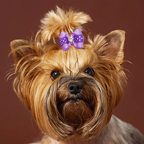 Miniatura 5 de PET SHOW 20 lazos para el pelo de perros pequeños con bandas de goma para cachorros, gatos, moño a juego, accesorios de aseo para el cabello