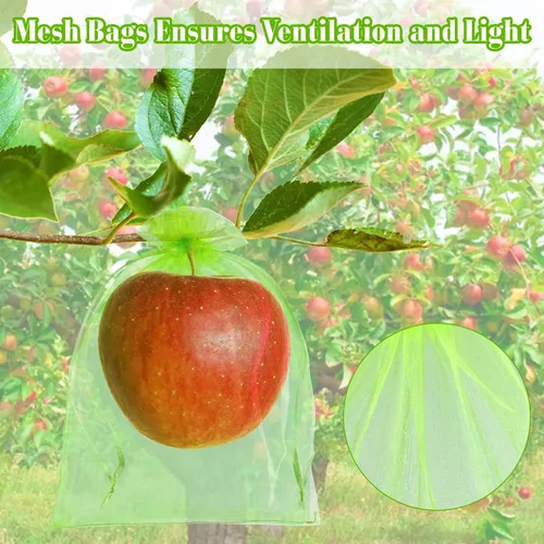 Miniatura 4 de Morcheiong 60 bolsas de protección de 6 x 8 pulgadas, red reutilizable para árboles frutales, malla de jardín con cordón (verde)