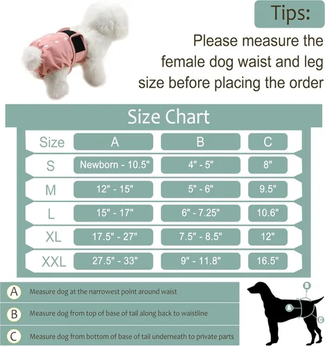 Miniatura 44 de Pañales lavables para perros, para hembras caninas, reutilizables, para periodo de celo, altamente absorbentes, para incontinencia, con broches