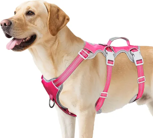 Miniatura 19 de Huntboo Arnés para perro a prueba de escape, arnés reflectante con mango acolchado, transpirable, duradero, chaleco ajustable para perros medianos