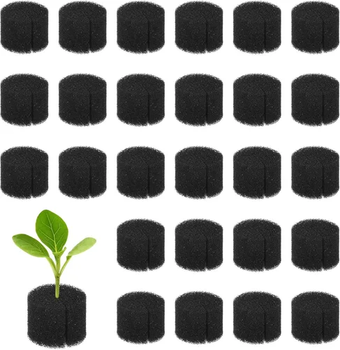Miniatura 9 de M METERXITY Paquete de 50 esponjas hidropónicas, esponjas cilíndricas de medio de cultivo de 1.97 pulgadas para plantar herramientas de Blanco