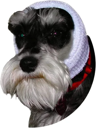 Miniatura 12 de Happy Hoodie La banda calmante original para perros y gatos - Marca americana - Alivio de la ansiedad/Protección contra el ruido-Aseo-Truenos-Fuegos