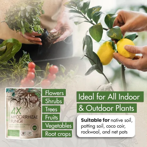 Miniatura 5 de Micorrizas 4X de 4 onzas para plantas – Inoculante de micorrizas – Potenciador de raíces y Myco concentrado, micorrizal superior para plantas, polvo