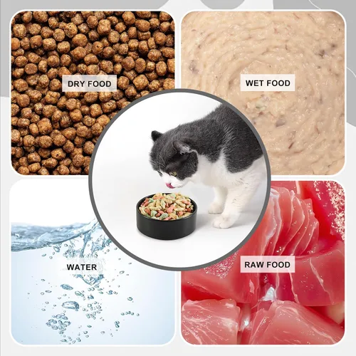 Miniatura 4 de Cuenco de cerámica para perros para comida y agua, cuenco comedero para mascotas para perros y gatos pequeños, plato de alimentación de cerámica
