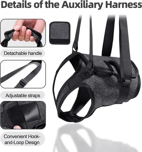 Miniatura 2 de Arnés acolchado suave ajustable para patas traseras para perros grandes, para patas traseras débiles, lesionadas o discapacitadas, ayuda a apoyar a
