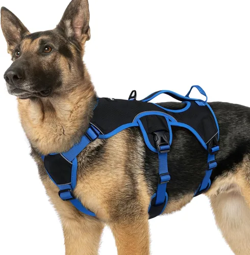 Miniatura 10 de rabbitgoo - Arnés para perro a prueba de fugas, arnés para mascotas acolchado suave de cuerpo completo, chaleco reflectante ajustable sin tirones