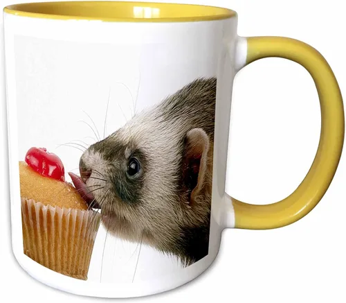 Miniatura 12 de 3dRose mug_17288_4 Hurón Eating Cupcake - Taza negra de dos tonos, multicolor, 11 onzas Blanco