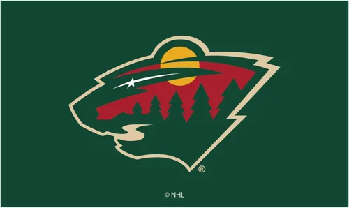 Miniatura 13 de Team Sports America Tapete con licencia oficial de la NHL 28 x 16 pulgadas (Anaheim Ducks)