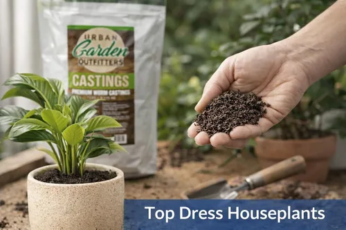 Miniatura 5 de Fundición de gusanos prémium – Constructor de suelo 100% natural y fertilizante para jardines, plantas de interior y macizos de flores, sin olor