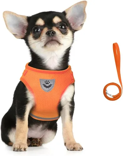 Miniatura 7 de FEimaX Juego de arnés y correa para perro, malla suave ajustable, de fácil control, chaleco ligero para gatos con tiras reflectantes, a prueba