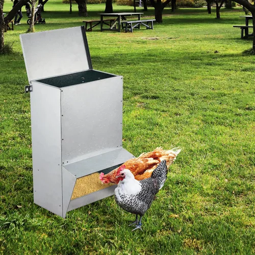 Miniatura 2 de Comedero para pollos CTF-50BL1 MAX, 50Bls