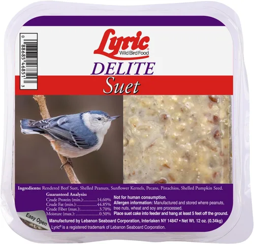 Lyric Delite - Pasteles de sebo de semillas de aves silvestres con alto contenido de proteínas para aves silvestres, 12 onzas (paquete de 12)