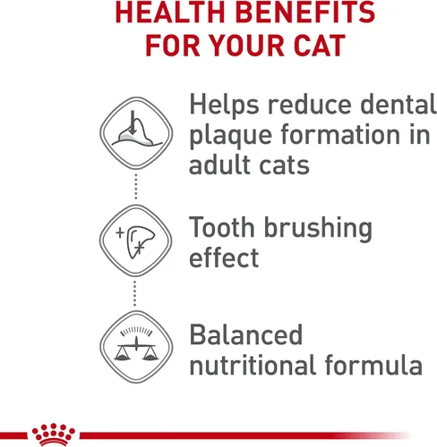 Miniatura 3 de Royal Canin Feline Care Nutrition Dental Care Alimento seco para gatos adultos, bolsa de 3 libras