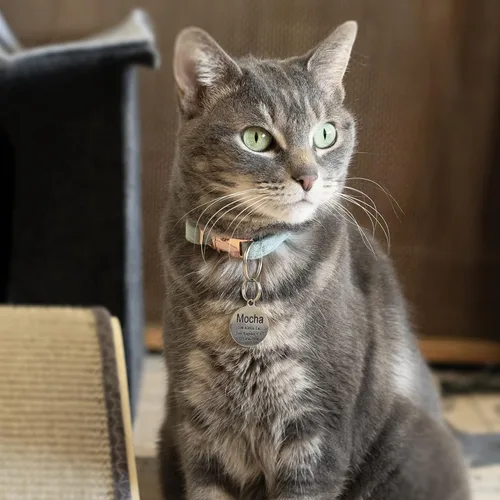 Miniatura 2 de Ultra Joys Etiquetas de nombre de gato grabadas personalizadas – Etiqueta de identificación de mascotas de acero inoxidable – Etiquetas