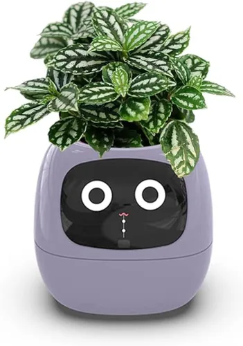 Miniatura 11 de Macetas inteligentes, maceta inteligente para mascotas, maceta AI, macetas inteligentes, múltiples expresiones, 7 sensores inteligentes y chips Ai