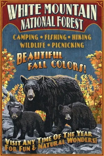 Lantern Press White Mountains, New Hampshire, Black Bear Vintage Sign 1000 Piece Jigsaw Puzzle for Adults, Made in USA with Reference Poster