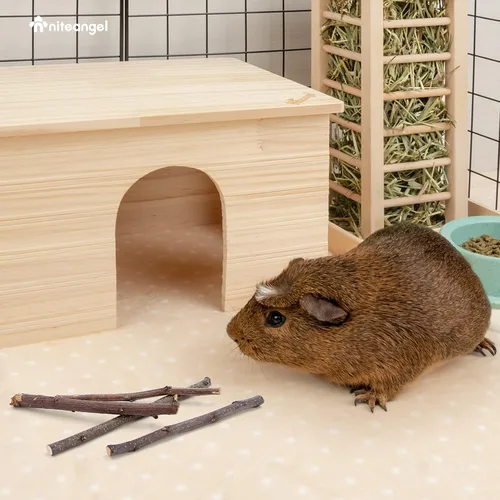 Miniatura 6 de Niteangel Palitos de manzana naturales masticables juguetes para conejos, chinchilla, conejillos de indias, hámsters y otros animales pequeños