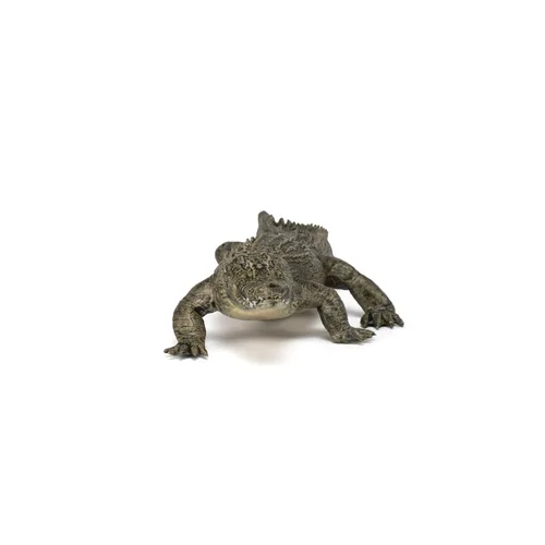 Miniatura 5 de Papo - Figura realista de cocodrilo - A partir de 3 años - Colección Wild Life - Reptiles educativos de pantano - Juguete de idea de regalo