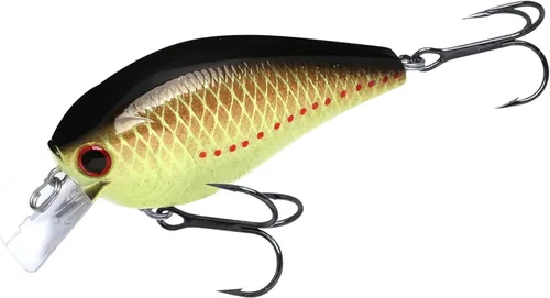 Miniatura 8 de LUCKY CRAFT LC 2.5 Señuelos de Pesca Crankbait Silenciosos, Crankbait Squarebill de 2-3/8", Señuelos para Lubina, Carnada Dura Flotante de 419 BP