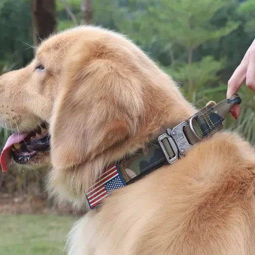 Miniatura 6 de Collar táctico de nailon - Hebilla de metal resistente con asa para entrenamiento de perros, con parches (camuflaje, M)