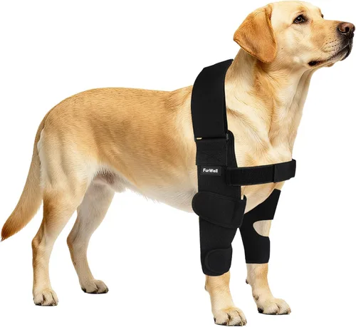 Miniatura 11 de Protector de codo para perro con correa de pecho desacoplada, transpirable, resistente a la abrasión, soporte de codo ajustable para higroma