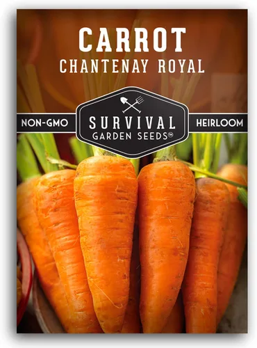 Royal Chantenay - Semillas de zanahoria para plantar, zanahorias cortas tradicionales para suelos pesados, raíces dulces y tiernas para cosechas de