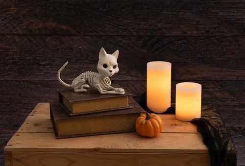 Miniatura 2 de Crazy Bonez Lindo gato esqueleto