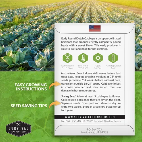 Miniatura 2 de Semillas de repollo holandés Early Round para plantar Variedad de reliquia sin OMG resistente al frío para jardines de primavera y otoño