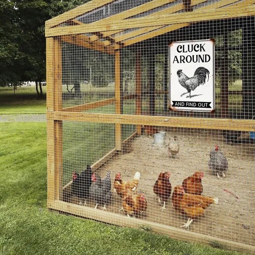 Miniatura 5 de Letrero de metal "Cluck Around and Find Out" para decoración de pared de gallinero en casa, cocina de granja, accesorios para gallinero, decoración
