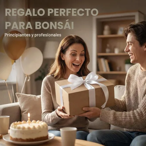 Miniatura 5 de Kit de inicio de Bonsái – Cultivo de Jacaranda Bonzai Kit completo de árbol interior para cultivar plantas con herramientas y maceta – Regalos