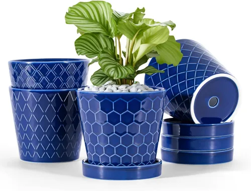 BUYMAX Macetas de Cerámica para Plantas – Maceta Interior de 5 Pulgadas con Orificio de Drenaje y Bandeja de Cerámica – Jardinería para el Hogar,