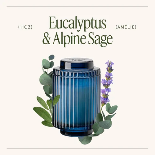 Miniatura 4 de LA JOLIE MUSE Vela perfumada de eucalipto y romero - vela de aromaterapia para relajación, cera de soja natural, velas en frasco de vidrio