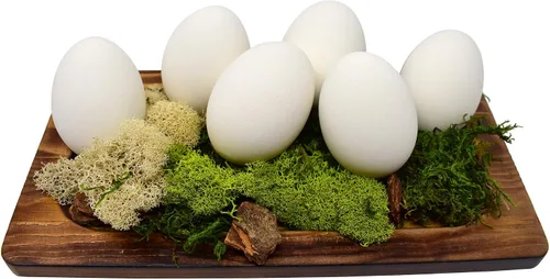 Miniatura 3 de Huevos de cerámica para nido, paquete de 6 unidades (blanco)