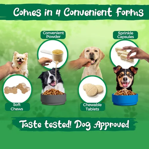 Miniatura 6 de Vital Planet - Suplemento probiótico en polvo para perros Flora con 20 mil millones de cultivos y 10 cepas, probióticos de apoyo inmunológico