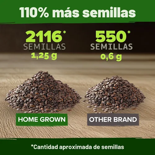Miniatura 3 de HOME GROWN Semillas de Hierba Gatera sin OMG (Paquete a Granel) Hierba Autóctona 2,116 Semillas - Semilla para Interior o Exterior - Hierba Gatera