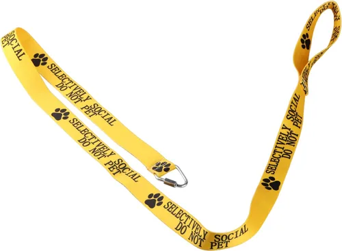 Miniatura 4 de Divertida correa para perro selectivamente social, no mascotas, correa para perros para caminar, entrenamiento, correas para perros, dueño