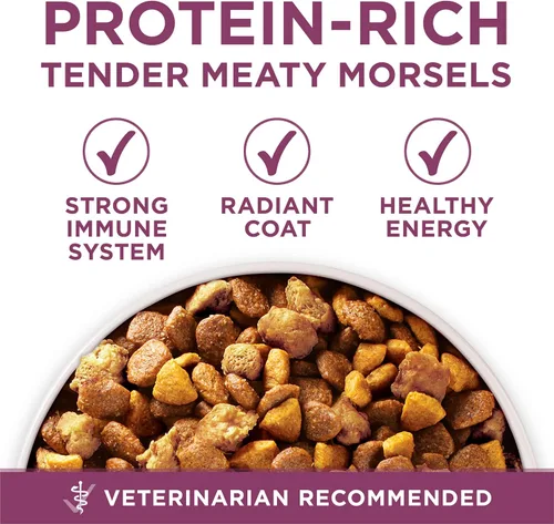 Miniatura 7 de Purina ONE Plus Healthy Puppy Formula Alimento seco natural con alto contenido de proteínas para cachorros con vitaminas, minerales y nutrientes