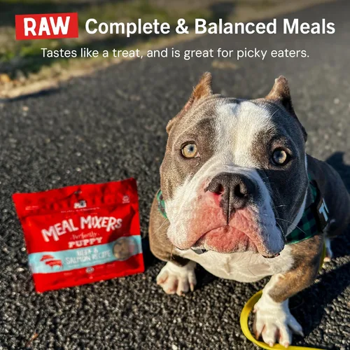 Miniatura 11 de Stella & Chewy's Mezcladores de Comida Cruda Liofilizada – Elaborados para Cachorros – Sin Granos, Ricos en Proteína, Receta Perfectamente Cachorro