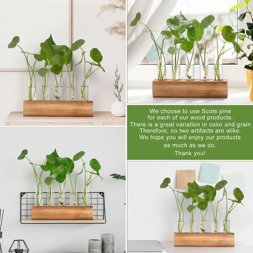Miniatura 7 de Estaciones de propagación YIBOT, terrario de plantas con soporte de madera, regalos de jardinería de cumpleaños para mujeres, madres amantes