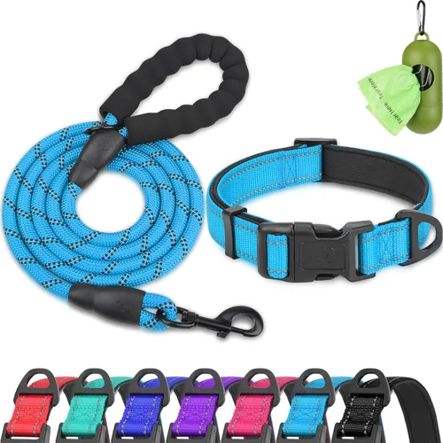 Dynmeow Juego de collar y correa reflectante para perro, correa de cuerda de escalada fuerte de 6 pies con mango acolchado, collar ajustable para